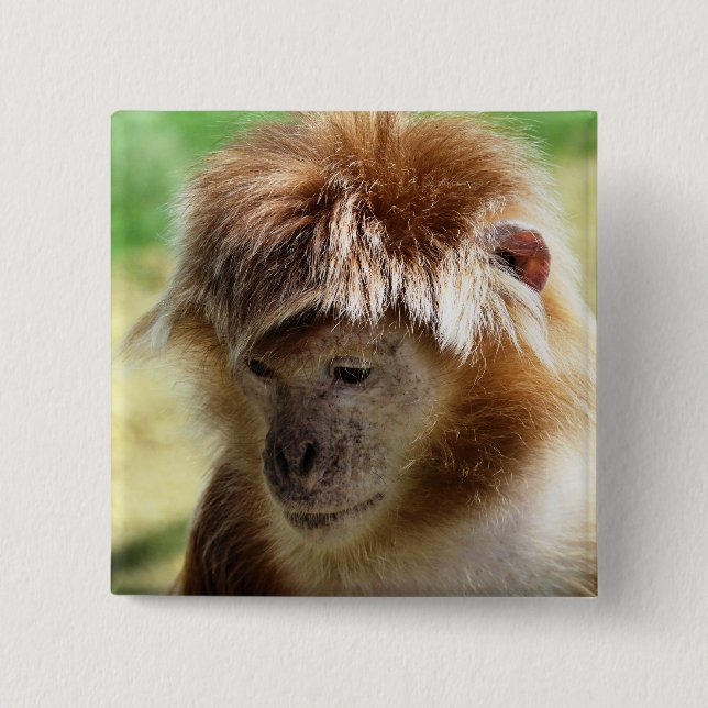 CHAPA CUADRADA MONKEY (Anverso)