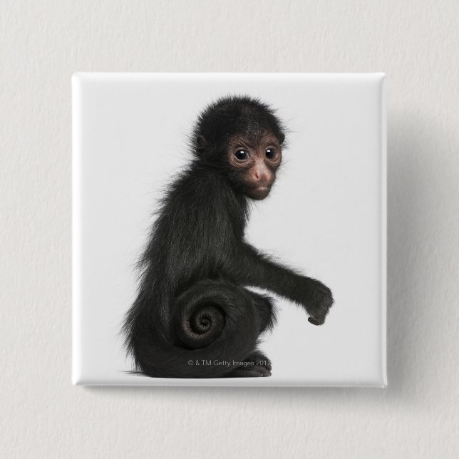 Chapa Cuadrada Mono araña de cara roja - Ateles paniscus (3) (Anverso)