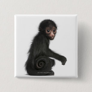 Chapa Cuadrada mono de araña Rojo-hecho frente - paniscus del