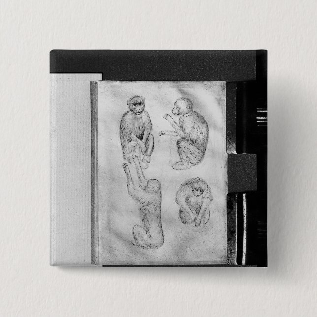 Chapa Cuadrada Monos, del álbum de Vallardi (Anverso)