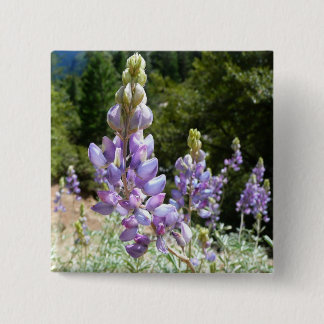 Chapa Cuadrada Montaña Lupins en Yosemite