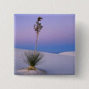 CHAPA CUADRADA MONUMENTO NACIONAL WHITE SANDS, NUEVO MÉXICO.