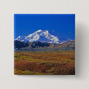 Chapa Cuadrada Mt. Parque Nacional McKinley Denali , Alaska.