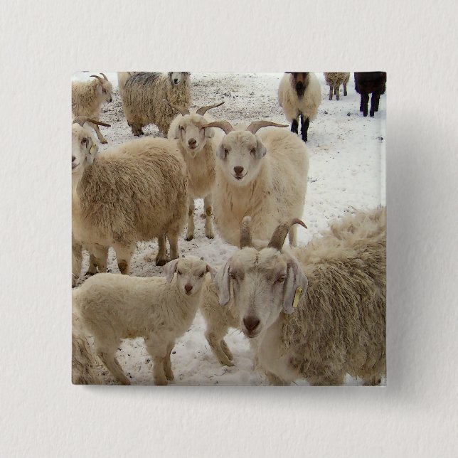 Chapa Cuadrada Multitud de cabras (Anverso)
