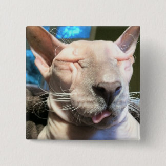 Chapa Cuadrada Mún cubo de hielo