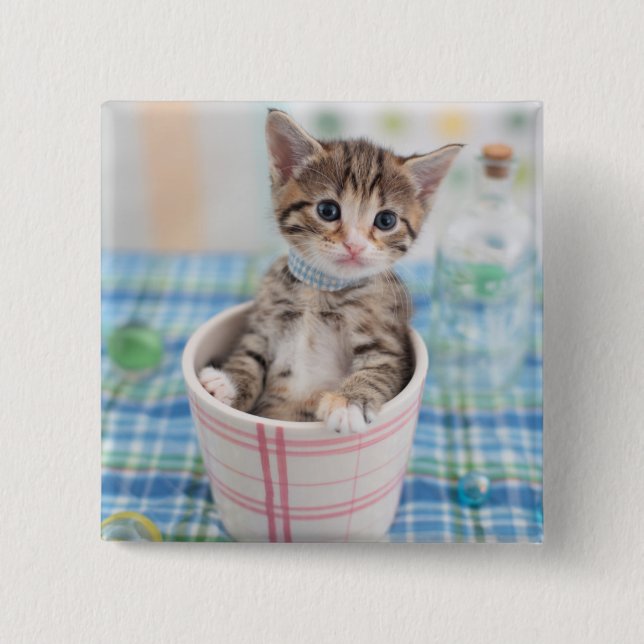 Chapa Cuadrada Munchkin Kitten Con Cinta De Bonito (Anverso)