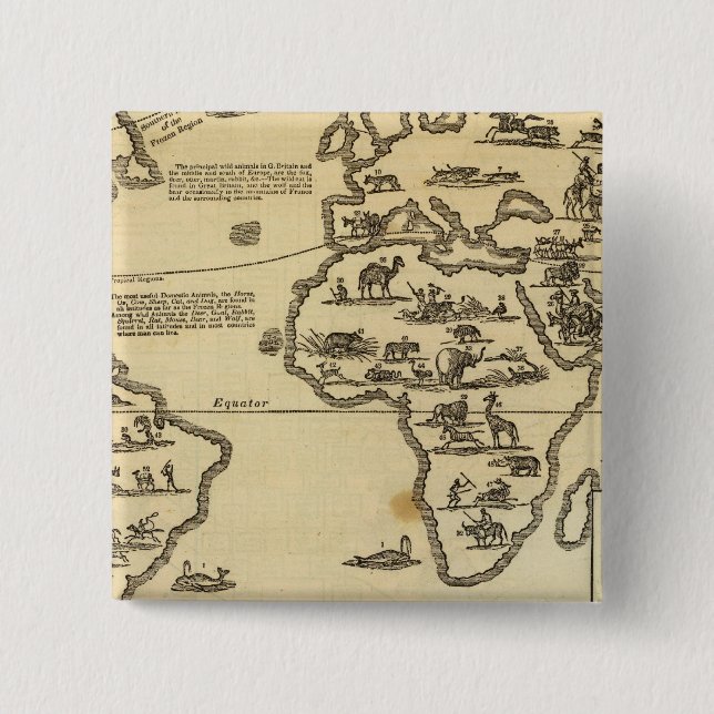 Chapa Cuadrada Mundo de los Animales (Anverso)
