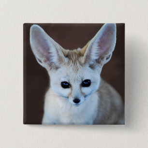 Chapa Cuadrada Mundos Cutest Fennec Fox