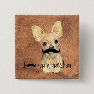 Chapa Cuadrada Mustache le preguntas humor chihuahua, perro Masco