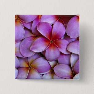 Chapa Cuadrada N.A., EE. UU., Maui, Hawái. Flores de Plumeria ros