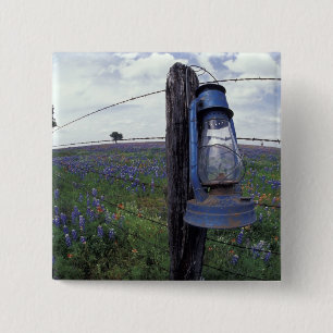Chapa Cuadrada N.A., EE. UU., Texas, Llano, Linterna Azul, Roble