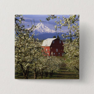 Chapa Cuadrada N.A., los E.E.U.U., Oregon, el condado de Hood