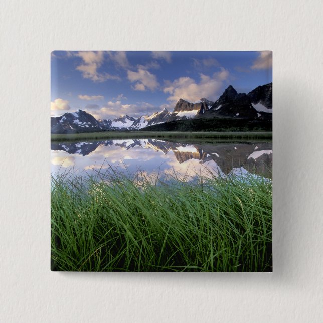 Chapa Cuadrada NA, Canadá, Alberta, Tonquin Valley. Jasper (Anverso)