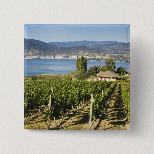 Chapa Cuadrada NA; Canadá; Columbia Británica; Valle de Okanagan; (Anverso)