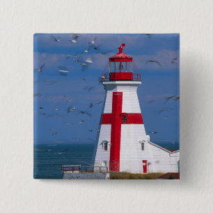 Chapa Cuadrada NA, Canadá, Nueva Brunswick, Isla Campobello.8