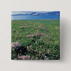 Chapa Cuadrada NA, EE. UU., Alaska, Isla Aleutiana, Escénico con