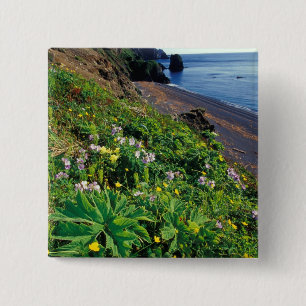 Chapa Cuadrada NA, EE. UU., Alaska, Islas Semidi, Flores silvestr
