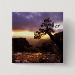 Chapa Cuadrada NA, EE. UU., Arizona, Tucson, Atardecer y solitari