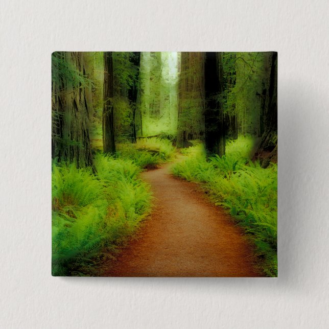 Chapa Cuadrada NA, EE. UU., California, Jedediah Smith Redwoods (Anverso)