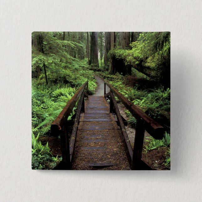 Chapa Cuadrada NA, EE.UU., California, Jedidiah Smith Redwood (Anverso)