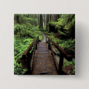 Chapa Cuadrada NA, EE.UU., California, Jedidiah Smith Redwood