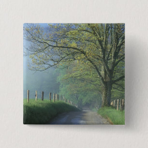 Chapa Cuadrada NA, EE.UU., Tennessee, Cades Cove, Great Smoky