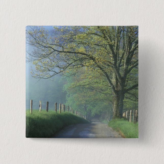 Chapa Cuadrada NA, EE.UU., Tennessee, Cades Cove, Great Smoky (Anverso)