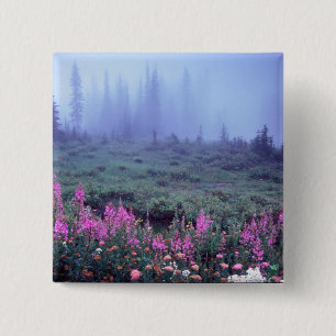 Chapa Cuadrada NA, EE.UU., Washington, Foggy Alpine Meadow, Mt.