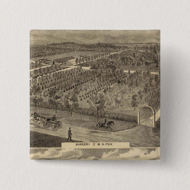 Chapa Cuadrada Nacimiento Fox, res, huerto (Anverso)