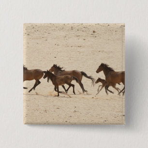 Chapa Cuadrada Namibia, Aus. Grupo de caballos salvajes corriendo