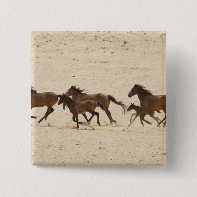 Chapa Cuadrada Namibia, Australia. Grupo de caballos salvajes en  (Anverso)