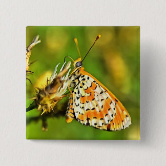 Chapa Cuadrada Naranja de Fritillary y mariposa blanca