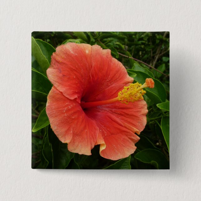 Chapa Cuadrada Naranja Hibiscus Flower Tropical Floral (Anverso)