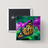 Naranja Monarch Mariposa Explorar Script Moderno