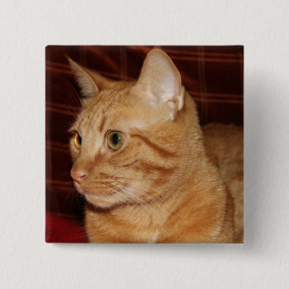 Chapa Cuadrada Naranja Tabby Cat Face Profile