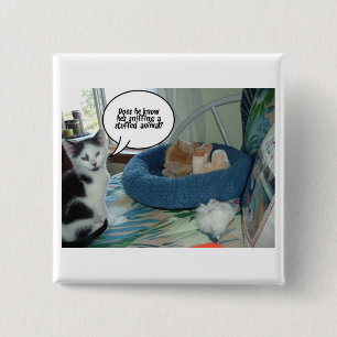 Chapa Cuadrada Naranja Tabby Kitty Cat