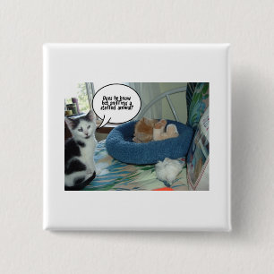 Chapa Cuadrada Naranja Tabby Kitty Cat