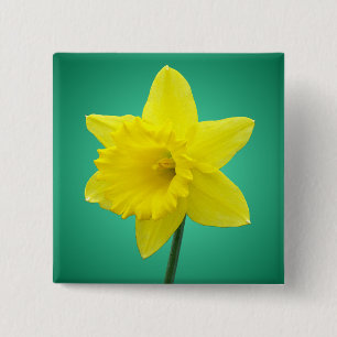 Chapa Cuadrada Narciso Galés - IV - cuadrado