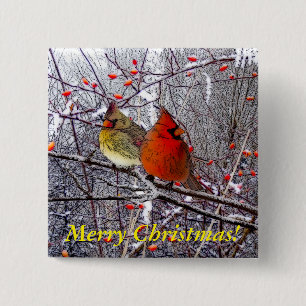 Chapa Cuadrada Navidades cardinales