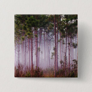 Chapa Cuadrada Niebla entre pinos al amanecer, Everglades