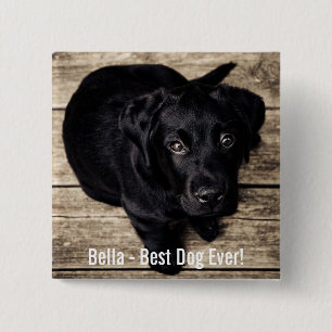 Chapa Cuadrada Nombre negro personalizado de la foto del perro