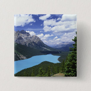 Chapa Cuadrada Norteamérica, Canadá, Alberta, Jasper 6