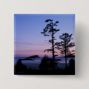 Chapa Cuadrada Norteamérica, Canadá, Isla de Vancouver, árboles