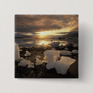 Chapa Cuadrada Norteamérica, EE. UU., Alaska, Bahía de Hielo, Pai