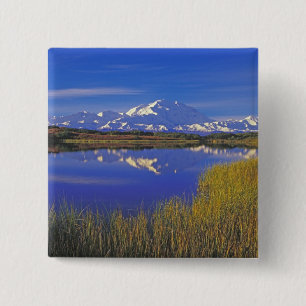 Chapa Cuadrada Norteamérica, EE. UU., Alaska, Parque Nacional Den