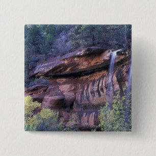 Chapa Cuadrada Norteamérica, EE. UU., Utah, Parque Nacional Zion.