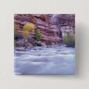 Chapa Cuadrada Norteamérica, EE. UU., Utah, Parque Nacional Zion.