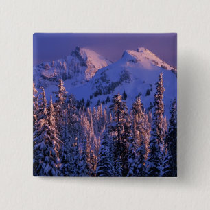 Chapa Cuadrada Norteamérica, EE. UU., Washington, Monte Rainier 4