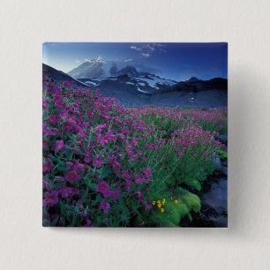 Chapa Cuadrada Norteamérica, EE. UU., Washington, Monte Rainier 6