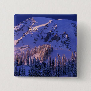 Chapa Cuadrada Norteamérica, EE. UU., Washington, Mt. Rainier 5